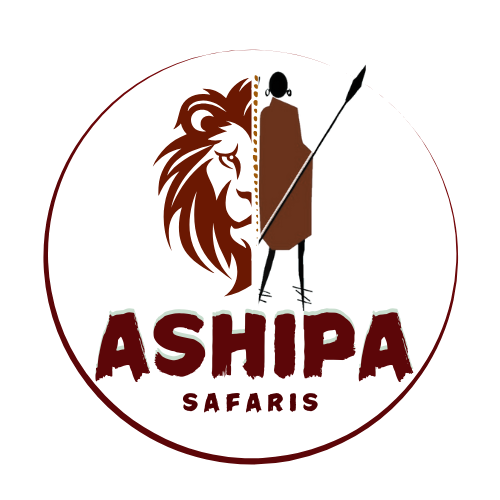 Ashipa Safaris