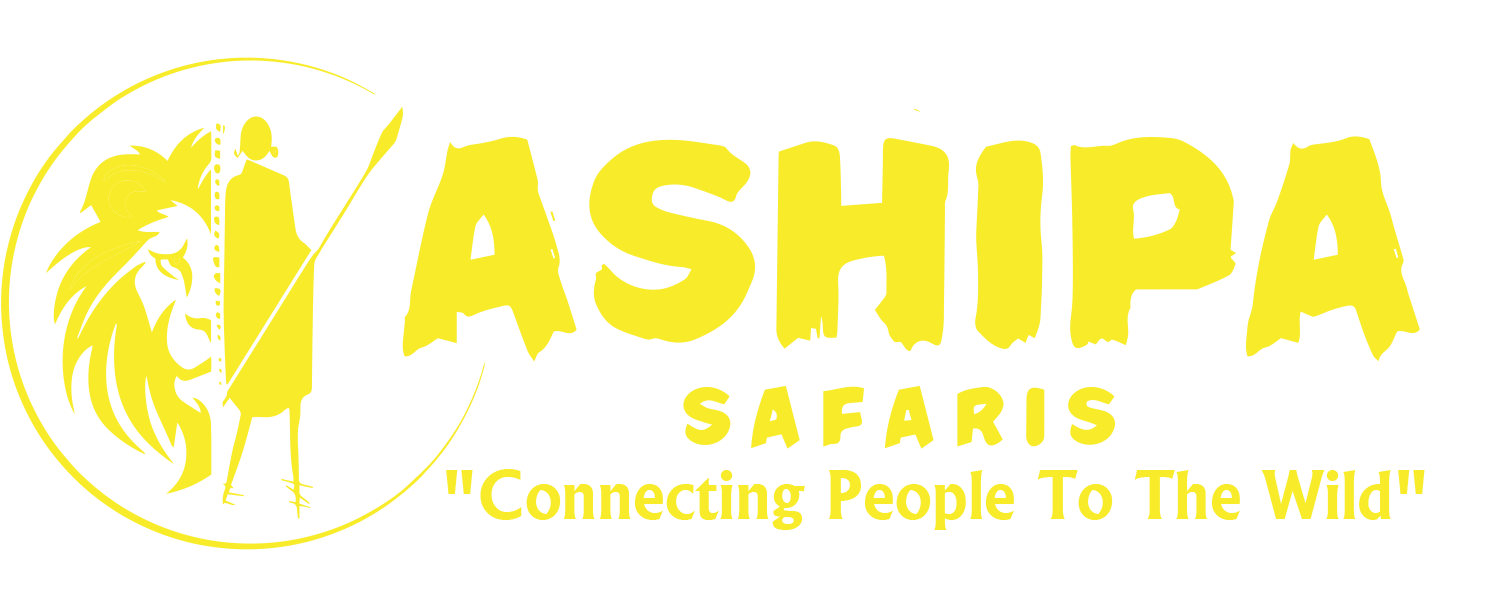 ashipa safaris